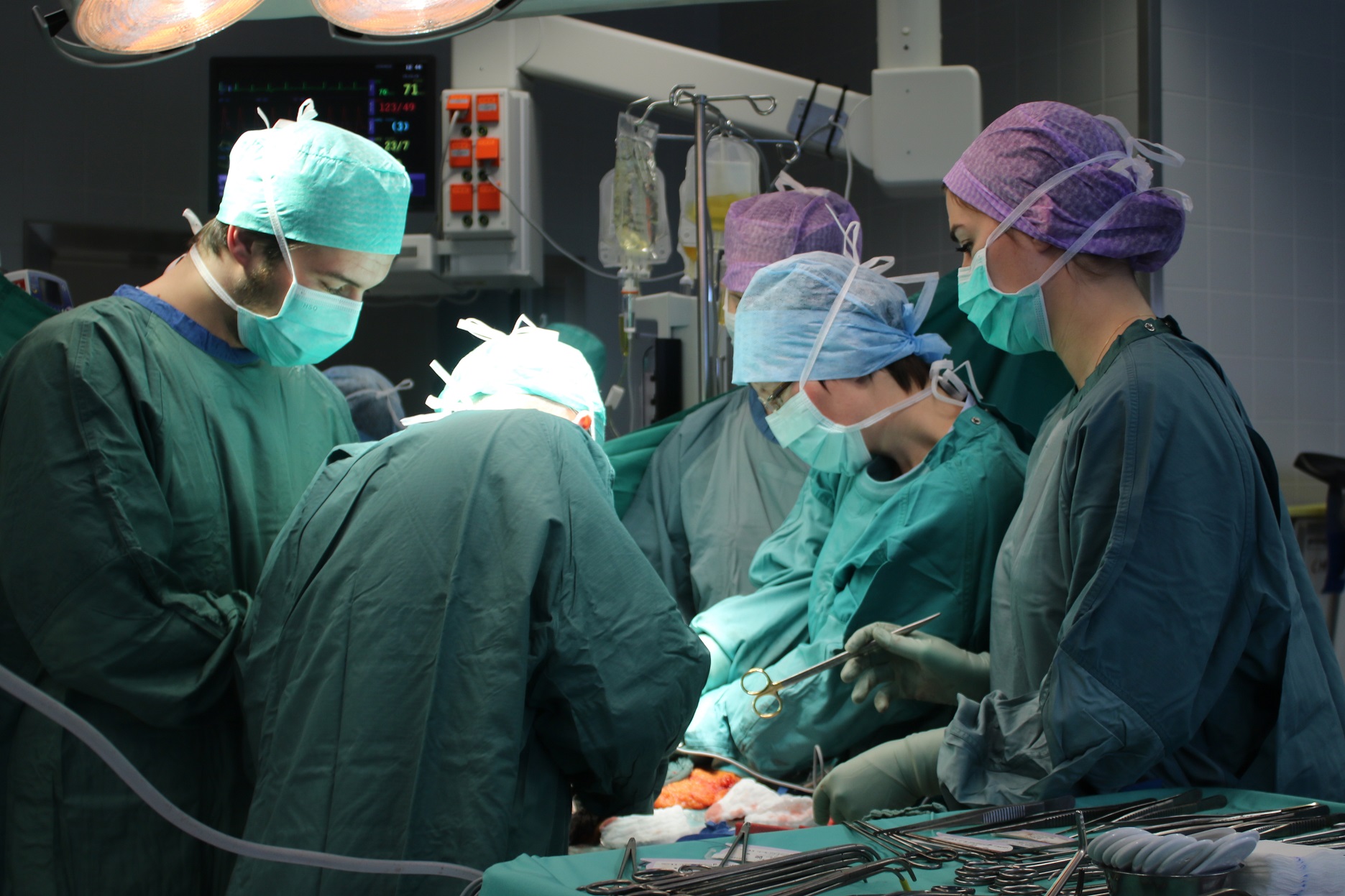 Leben retten durch Organspende