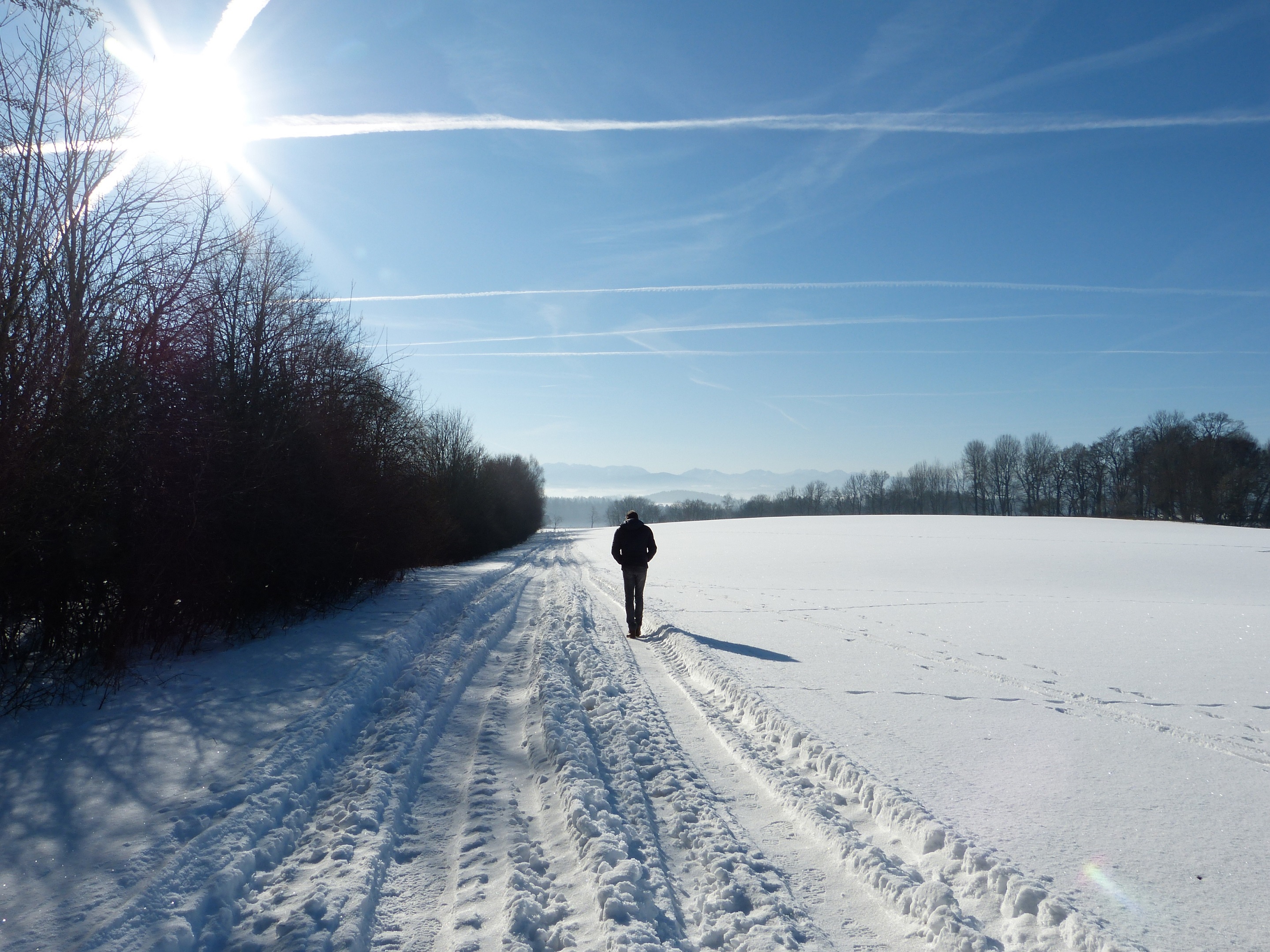 Vitamin D: ein Vitamin – viele Funktionen