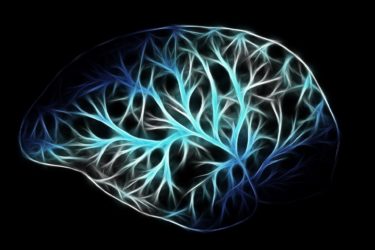 Epilepsie – das Gewitter im Gehirn