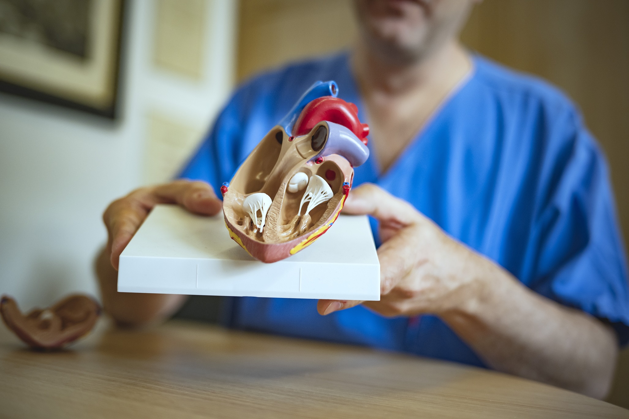 Auch junge Herzen brauchen manchmal Hilfe