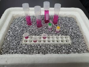 Energieeffiziente Kühlung von Laborproben mit Lab Armor Beads